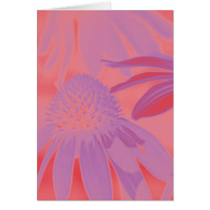 Echinacea Neon Glow #1