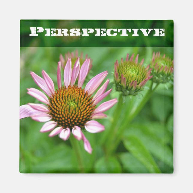Echinacea Perspective Magnet (Front)