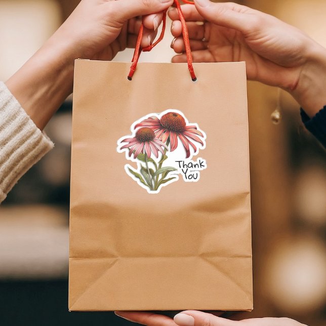 Echinacea Purple Coneflower Thank You (Creator Uploaded)