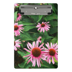 Echinacea Purpurea, Purple Coneflower Mini Clipboard