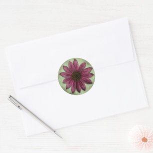 Echinacea - Single Lady Classic Round Sticker