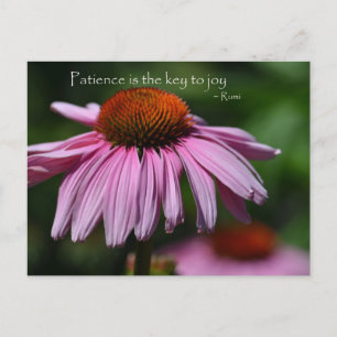 Echinacea with Patience Quote Postcard