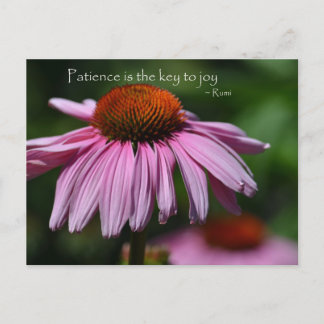 Echinacea with Patience Quote Postcard