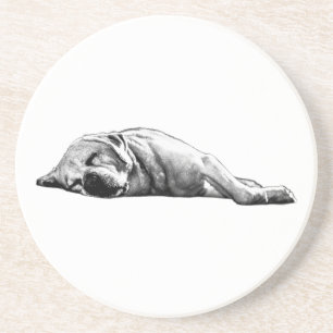 Echoes of Sleep Coaster