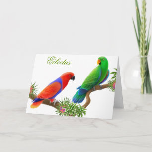 Eclectus Birds Greeting Card