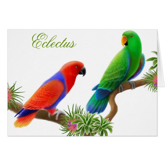 Eclectus Birds Greeting Card