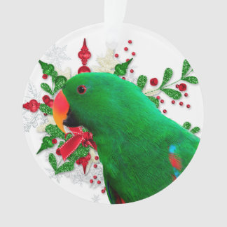 Eclectus Christmas Spirit Ornament