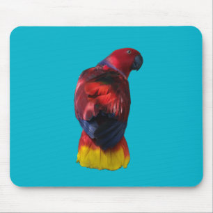 Eclectus Mouse Pad