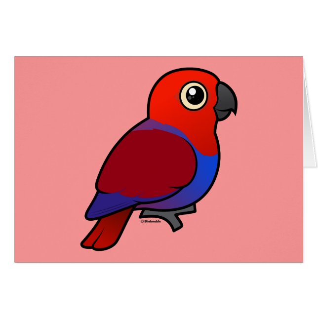 Eclectus Parrot female (Front Horizontal)