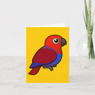 Eclectus Parrot female Card