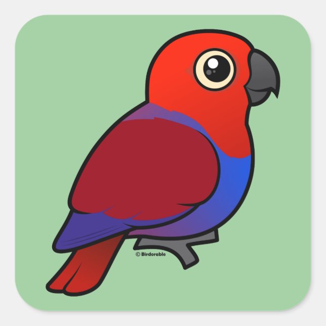 Eclectus Parrot female Square Sticker (Front)
