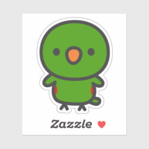 Eclectus Parrot / Male