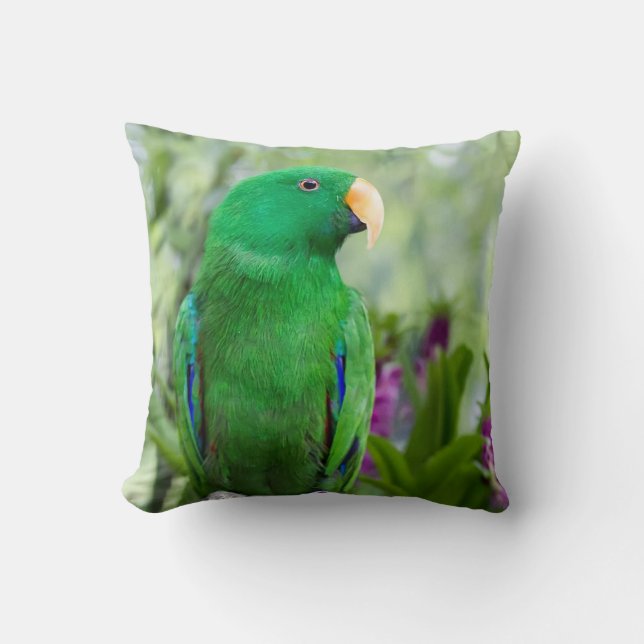 Eclectus Parrot Male Cushion (Front)