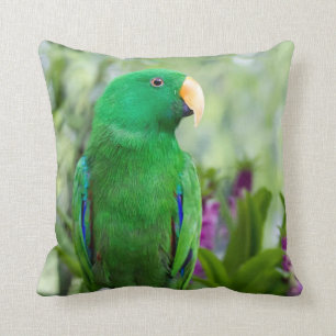 Eclectus Parrot Male Cushion