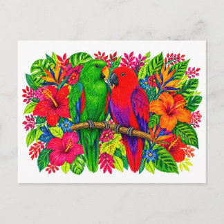 Eclectus Parrots Tropical Strelitzia Hibiscus Mark Postcard