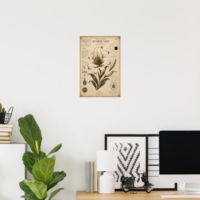 Eclipse Lily Victorian Botanical Museum Print (Home Office)