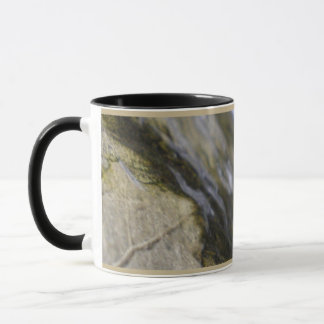 Eclipse Mug