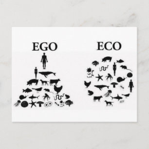 eco ego postcard