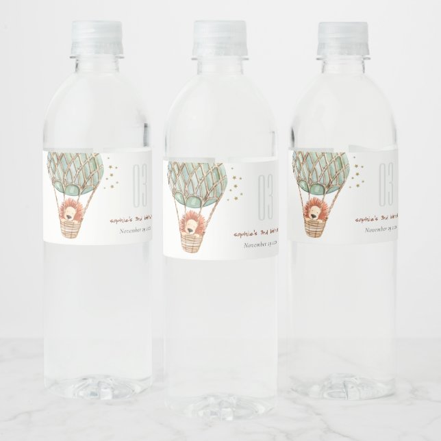 Eco Green Hot Air Balloon Lion Kids Birthday Water Bottle Label (Bottles)