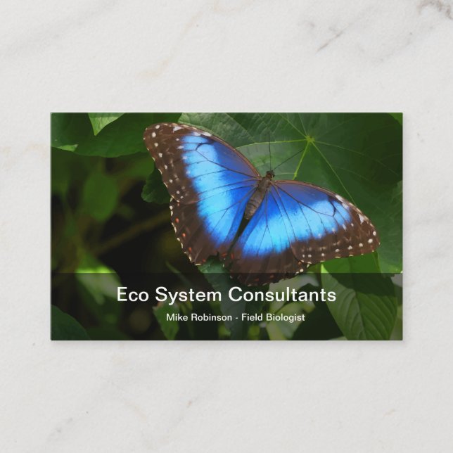 Eco Systems Biologist Business Card (Front)