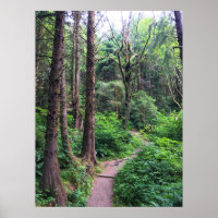 Ecola State Park, Cannon Beach, Oregon