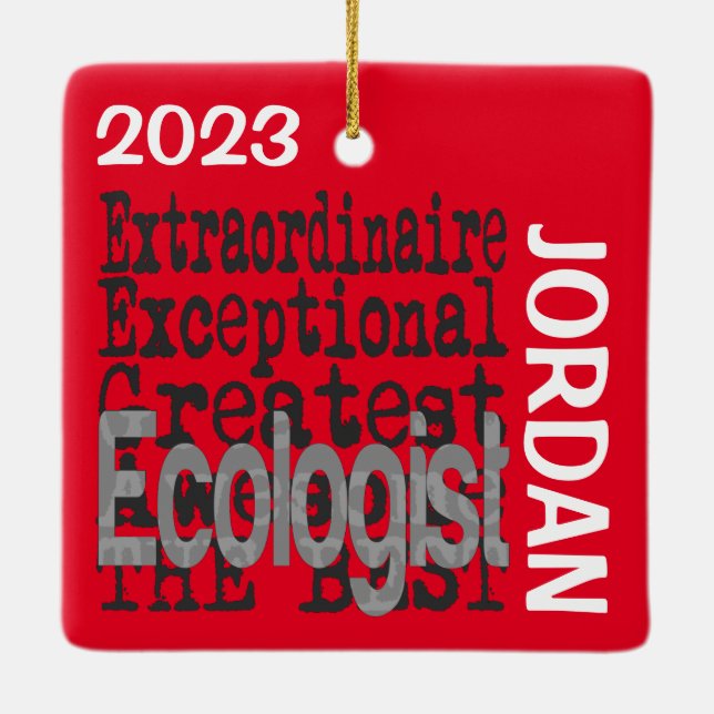 Ecologist Extraordinaire CUSTOM Ceramic Ornament (Back)