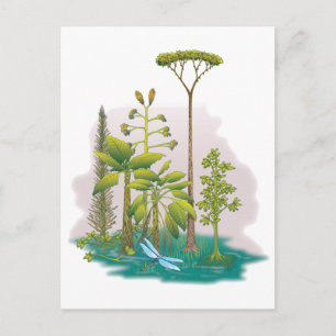 Ecology : plant a tree - postcard