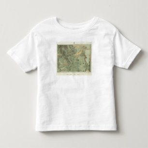 Economical Features of Colorado Toddler T-Shirt