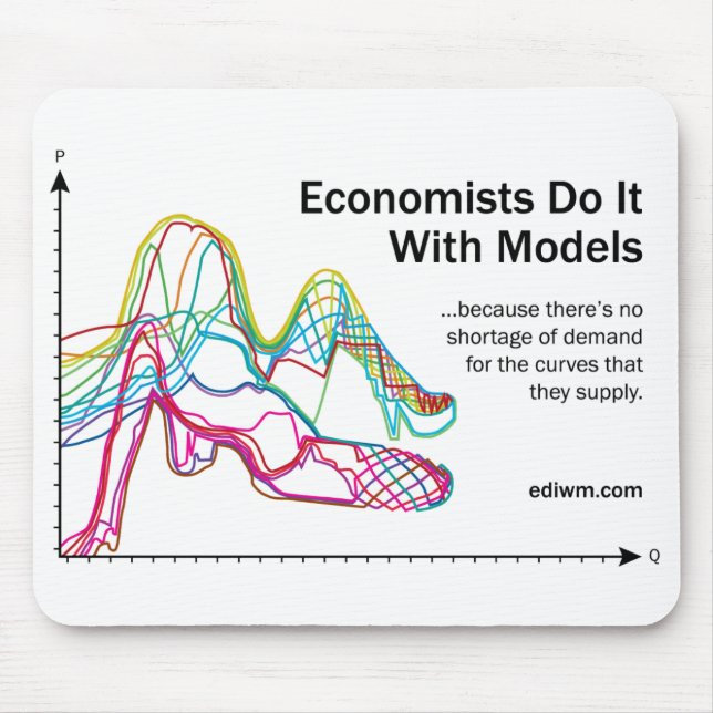 Economists Do It With Models Mouse Pad (Front)
