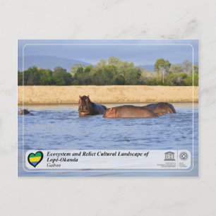 Ecosystem and Cultural Landscape of Lopé-Okanda Postcard