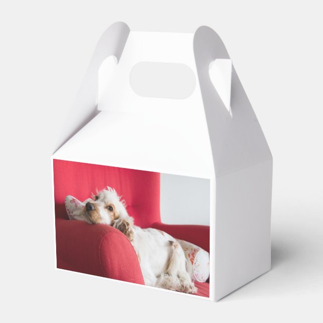ecs orange and white chillin favour box (Front Side)