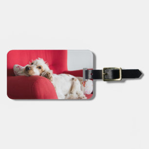 ecs orange and white chillin luggage tag