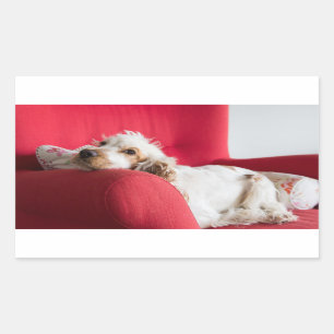 ecs orange and white chillin rectangular sticker