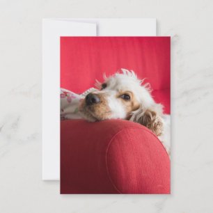 ecs orange and white chillin thank you card