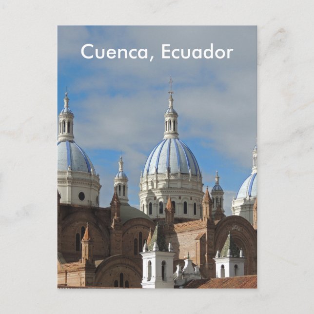 Ecuador - Cathedral of the Immaculate Conception Postcard (Front)