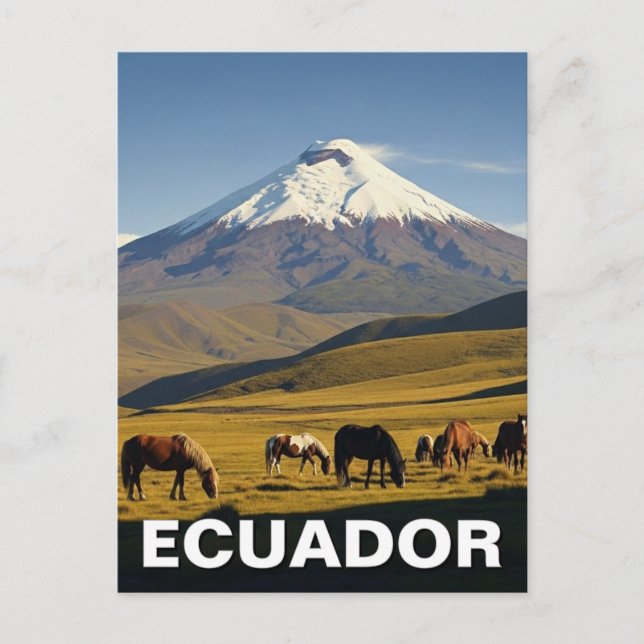 Ecuador Cotopaxi National Park travel Postcard (Front)