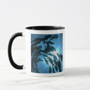 Ecuador, Galapagos archipelago, Wolf Island, Mug
