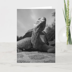 Ecuador, Galapagos Islands National Park, Santa Holiday Card