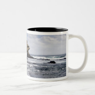 Ecuador, Galapagos, Santiago aka James). 3 Two-Tone Coffee Mug