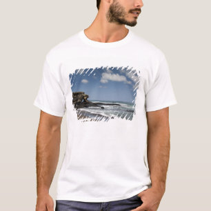 Ecuador, Galapagos, Santiago aka James). 4 T-Shirt