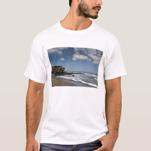 Ecuador, Galapagos, Santiago aka James). 4 T-Shirt