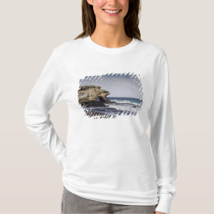 Ecuador, Galapagos, Santiago aka James). T-Shirt