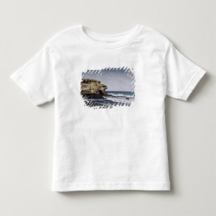 Ecuador, Galapagos, Santiago aka James). Toddler T-Shirt