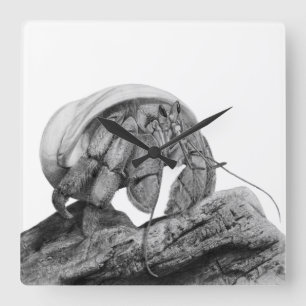Ecuadorian Hermit Crab Coenobita Compressus Clock
