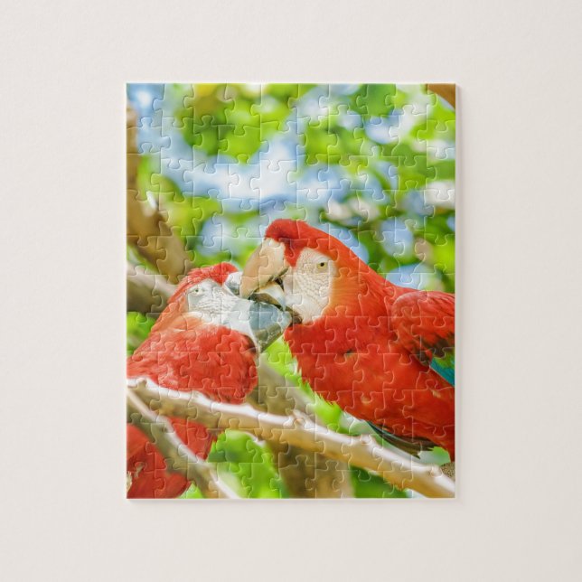 Ecuadorian Parrots at Zoo, Guayaquil, Ecuador Jigsaw Puzzle (Vertical)