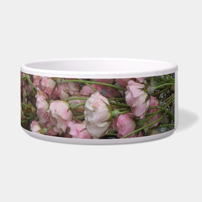 Écuelle pour animaux en céramique (Right)