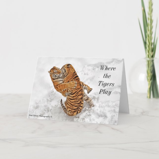 Ed Christmas Card 2014 number 2 (Front)