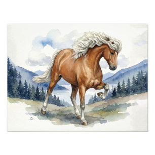 Edda Silver bay Icelandic Horse in Mountains Photo Print