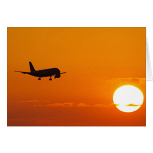 EDDL0819