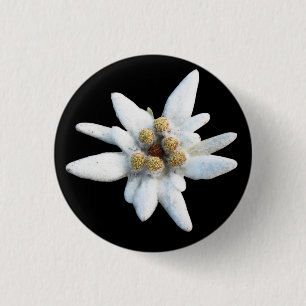 Edelweiss Alpine Flower 3 Cm Round Badge